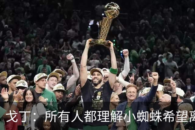 戈丁：所有人都理解小蜘蛛希望离队的想法，但他的处理方式做错了